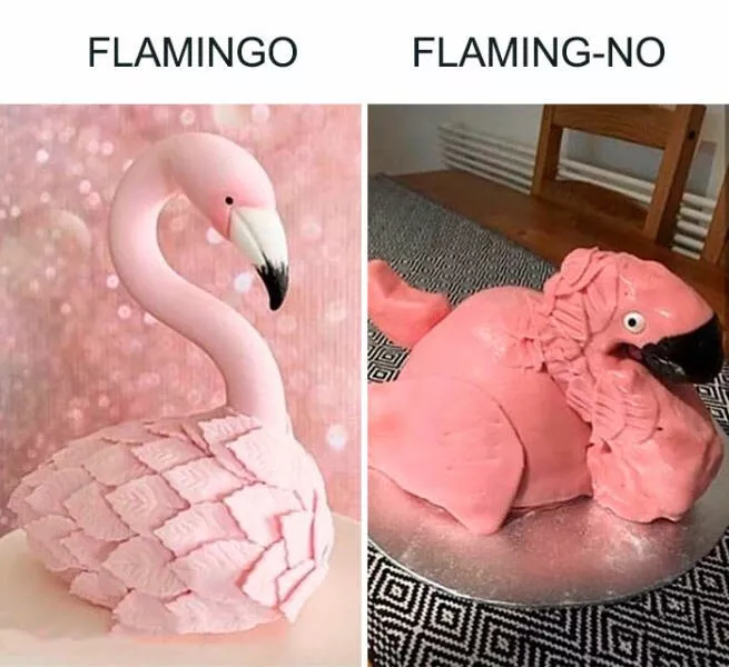 Expectation vs reality in hilarious photos - #37 