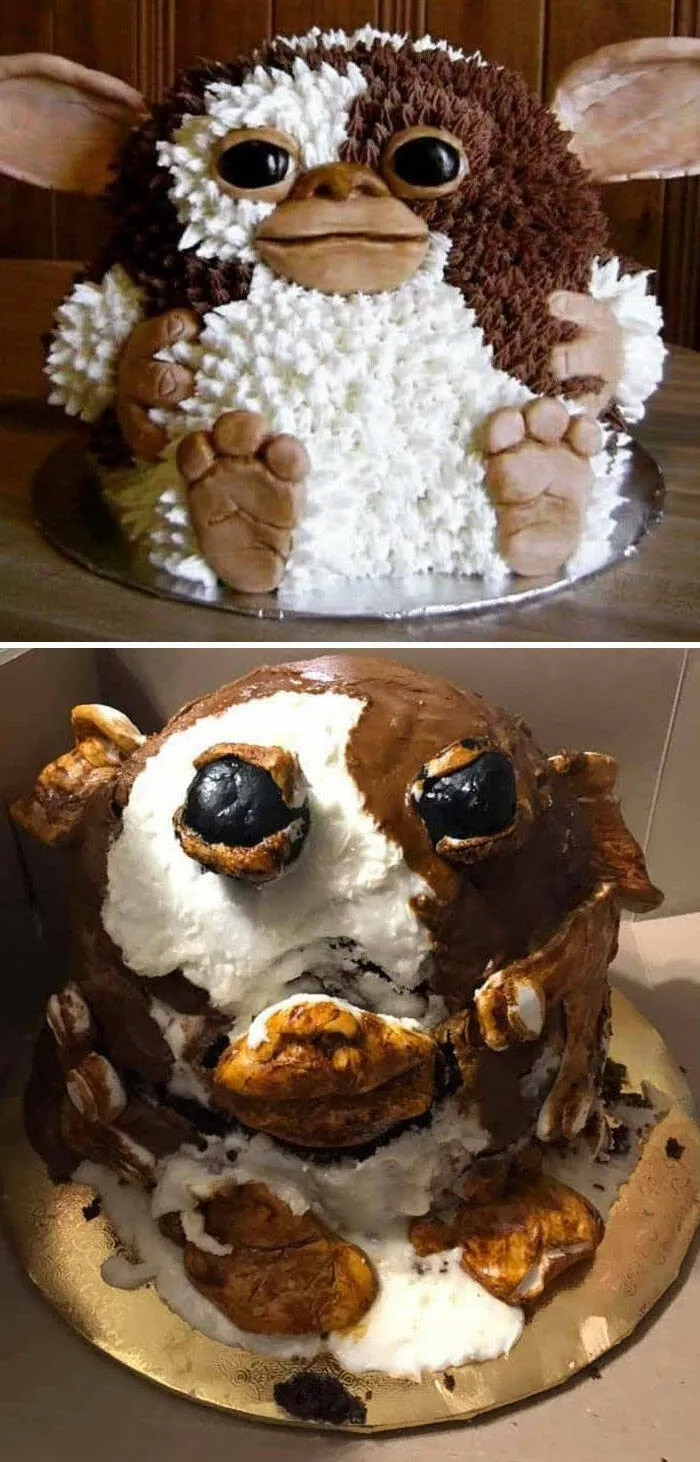 Expectation vs reality in hilarious photos - #44 