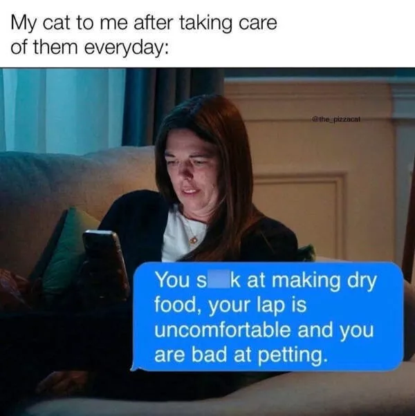Hilarious cats being their best selves - #14 