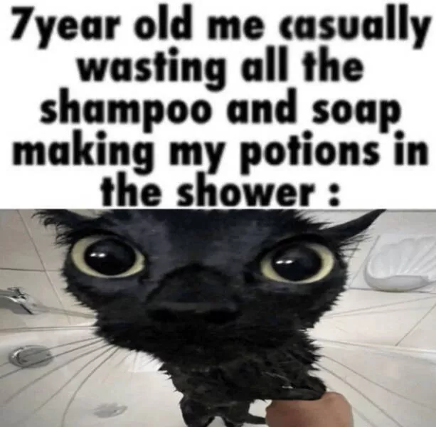 Hilarious cats being their best selves