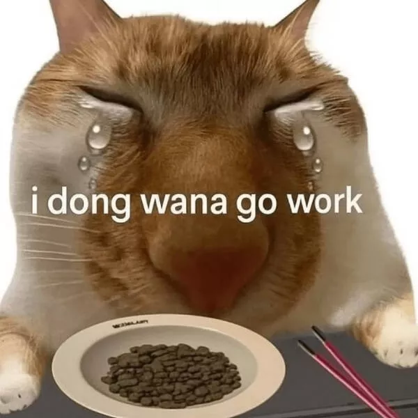 Hilarious cats being their best selves - #5 