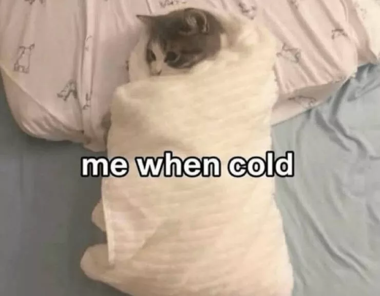 Hilarious cats being their best selves - #6 