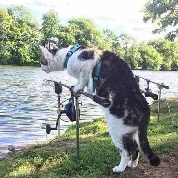 Picdump 1083 - #17 