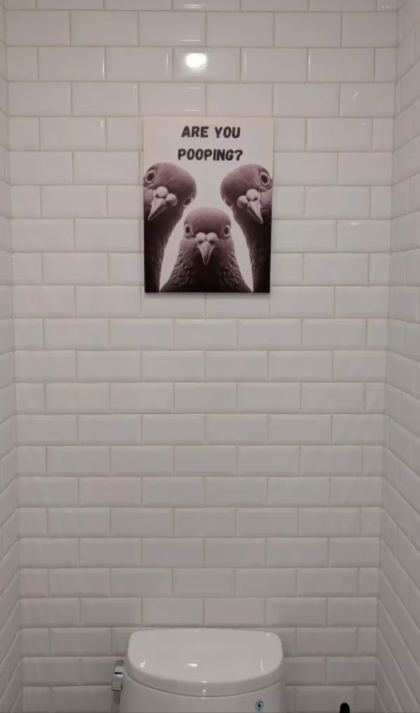 Picdump 1084 - #11 