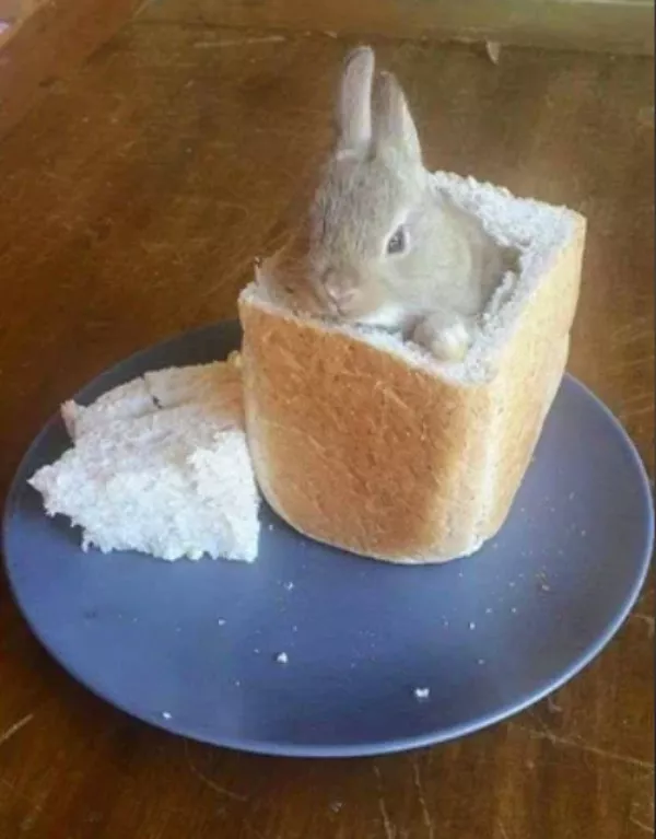 Picdump 1084 - #20 