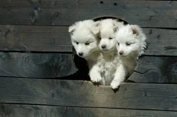 Picdump 1084 - #30 