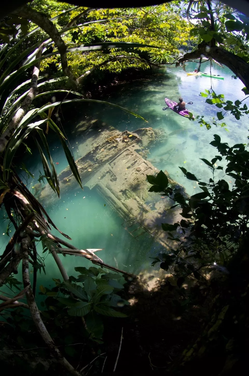 A high res look at the strangely awesome