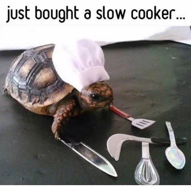Picdump 149 - #35 