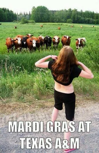 Picdump 149 - #36 