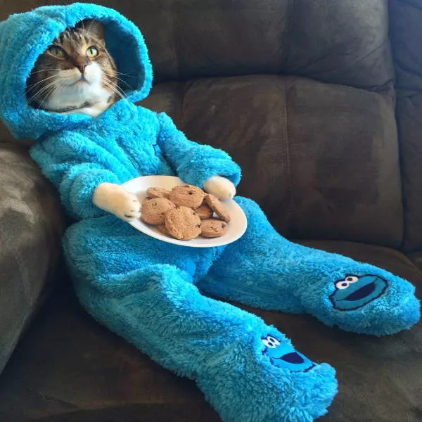 Picdump 149 - #42 