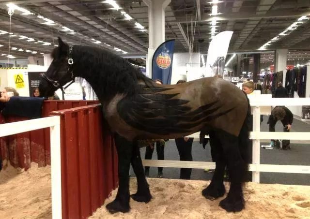 Picdump 149 - #43 