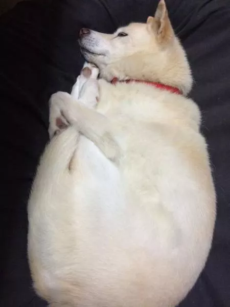 Picdump 149 - #50 