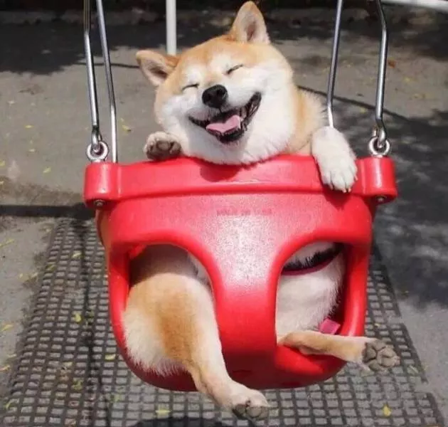 Picdump 149 - #61 
