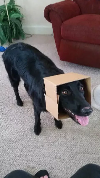 Picdump 149 - #67 