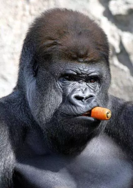 Picdump 149 - #79 
