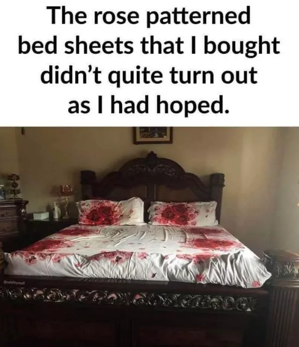 Hilarious echoes of life - #21 