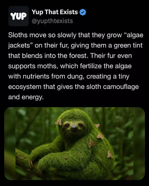 These weird things actually exist - #14 