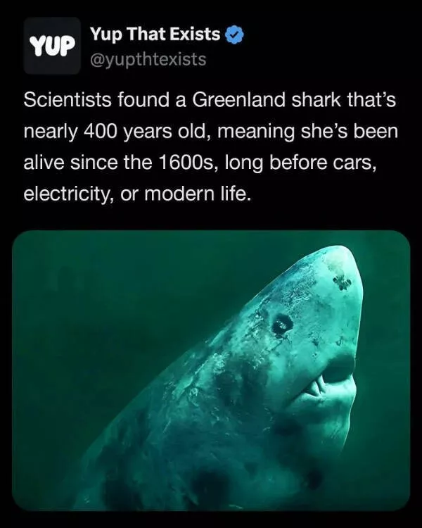 These weird things actually exist - #16 
