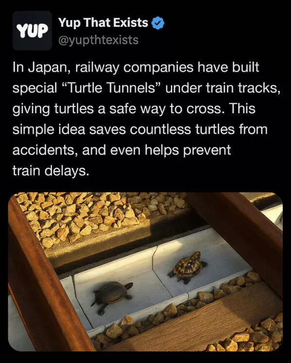 These weird things actually exist - #21 