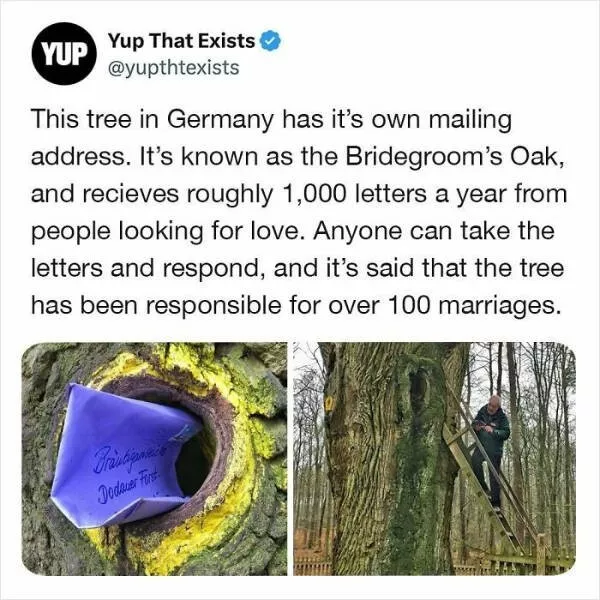 These weird things actually exist - #5 