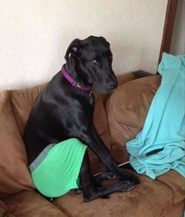 Picdump 1086 - #14 