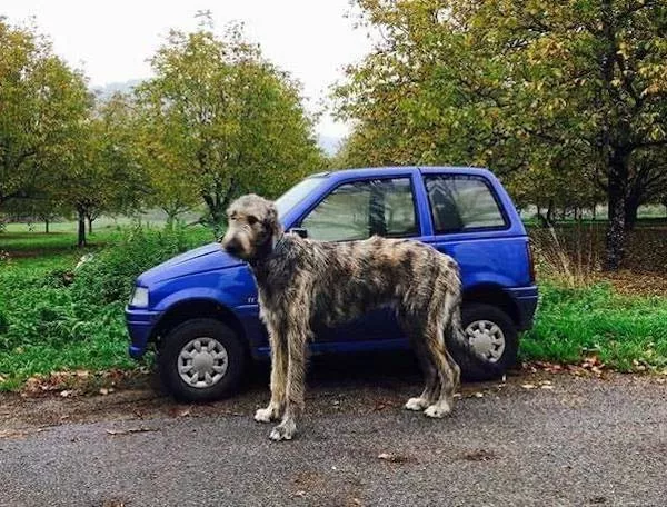 Picdump 1086 - #23 