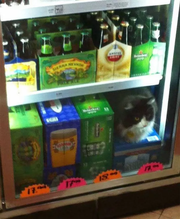 Picdump 1086 - #27 