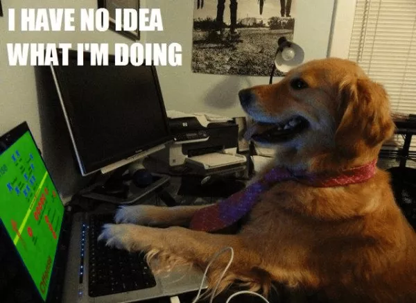 The highs and lows of fantasy league memes