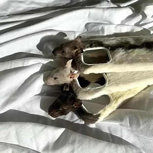 Hilarious things nobody wants - #16 