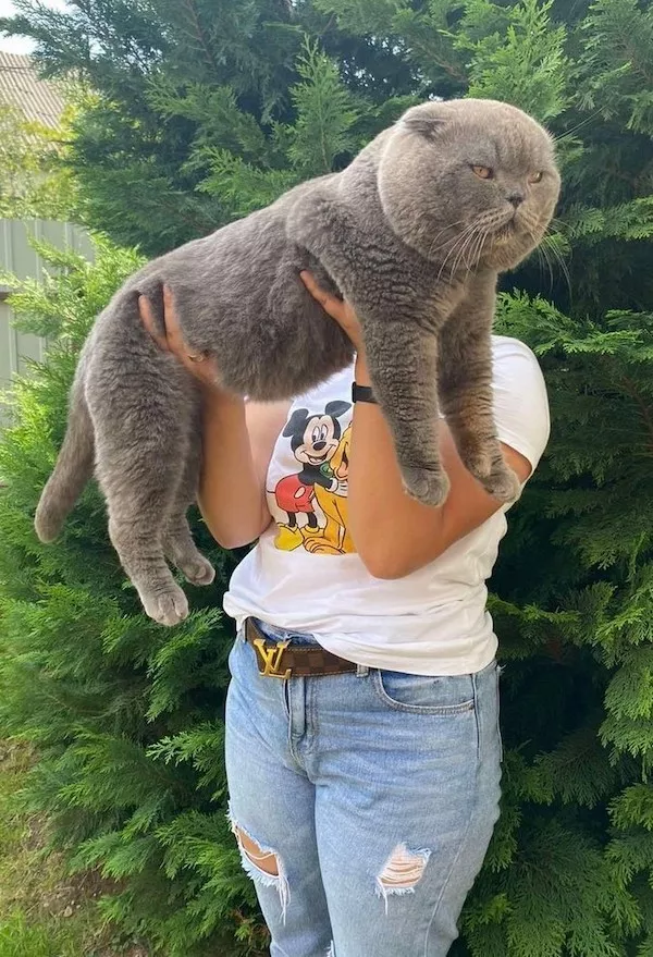 Picdump 1087 - #19 