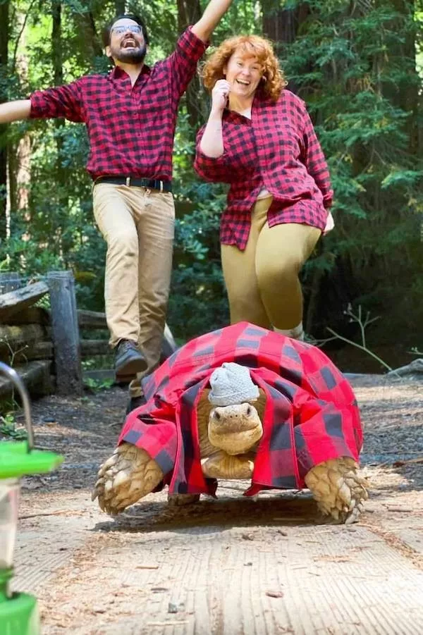 Your daily dose of morning awesome - #27 