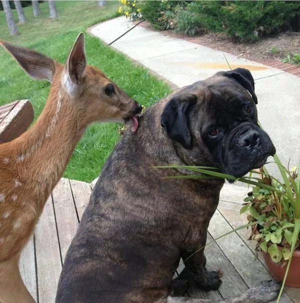 Your daily dose of morning awesome - #41 Your daily dose of morning awesome - #41