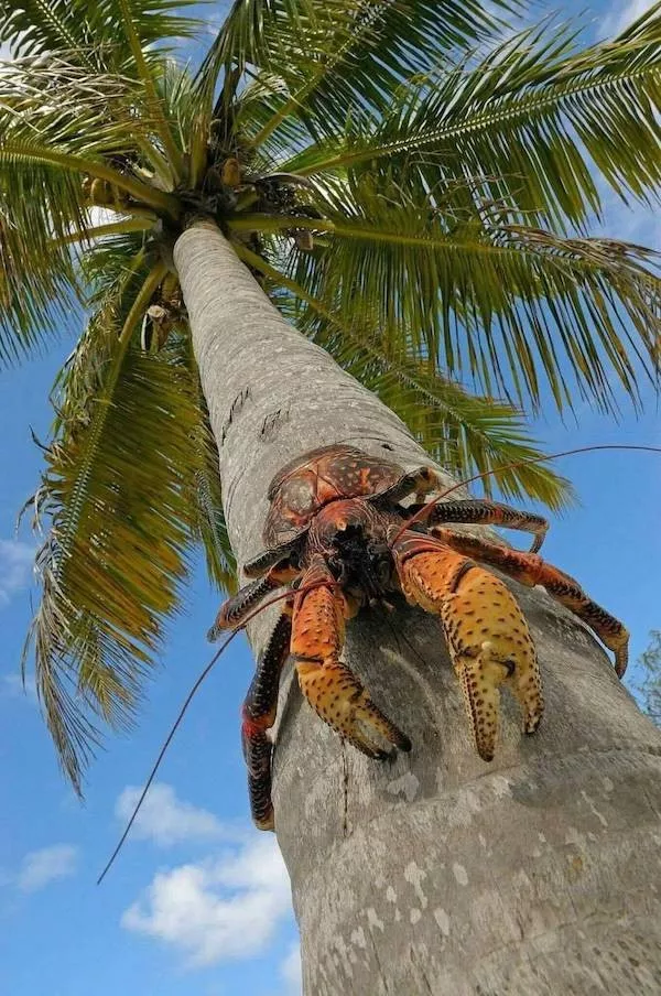 Your daily dose of morning awesome - #9 