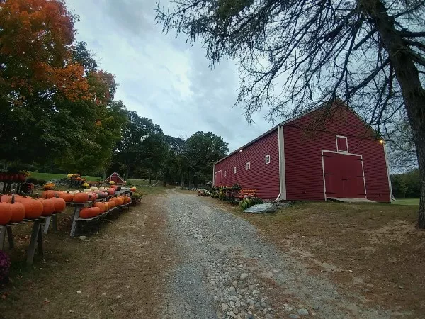 Autumnal vibes and spooky times - #17 Spooky season in New England is the best Autumnal vibes and spooky times - #17 Spooky season in New England is the best