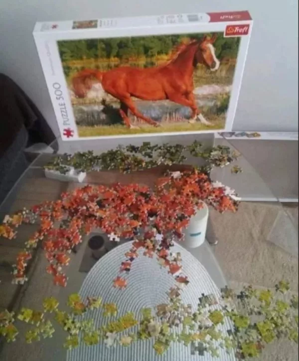 Picdump 1088 - #17 