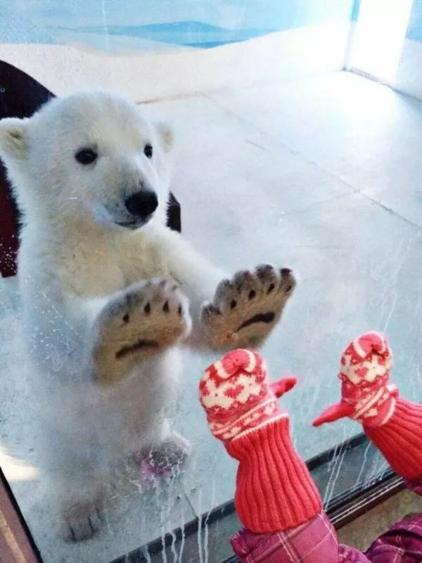Picdump 1088 - #29 