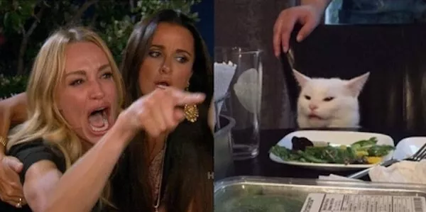 The greatest hits of popular memes