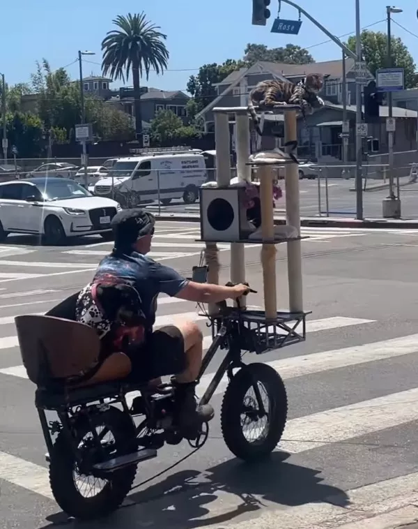 Des images wtf qui defient toute logique - #15 