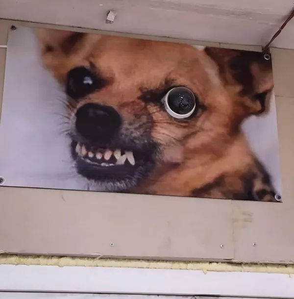 Des images wtf qui defient toute logique - #27 