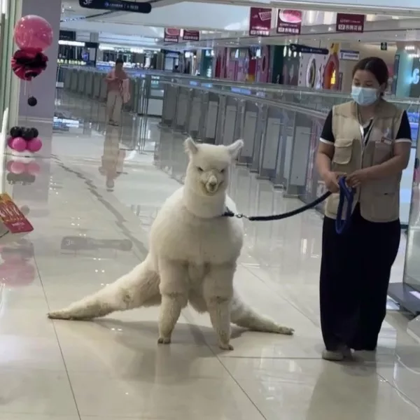 Wtf photos you have to see to believe - #30 