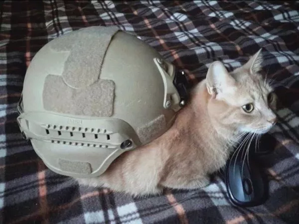 Wtf photos you have to see to believe - #35 