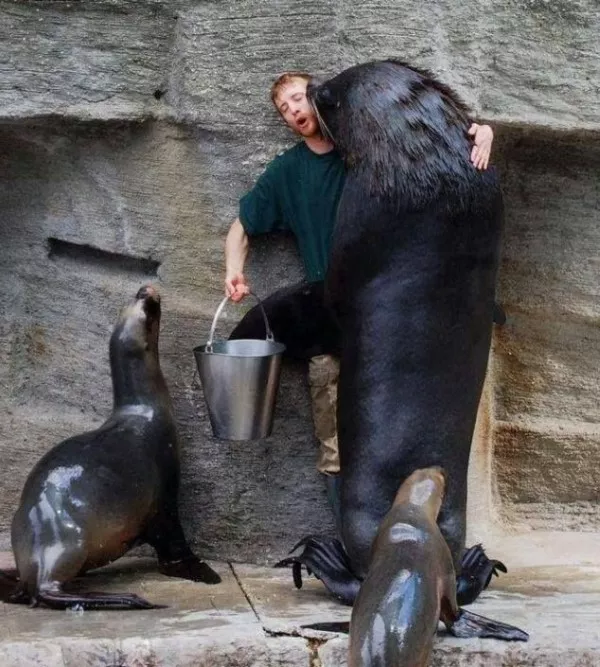 Wtf photos you have to see to believe - #37 