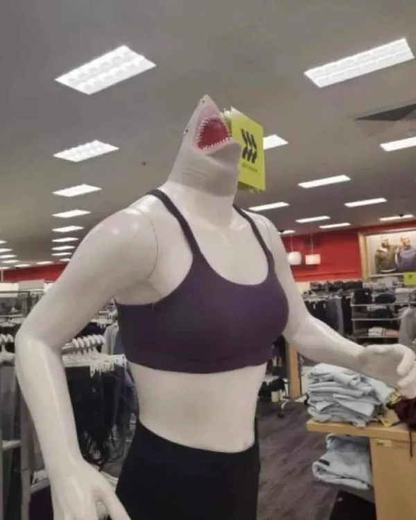 Des images wtf qui defient toute logique - #39 