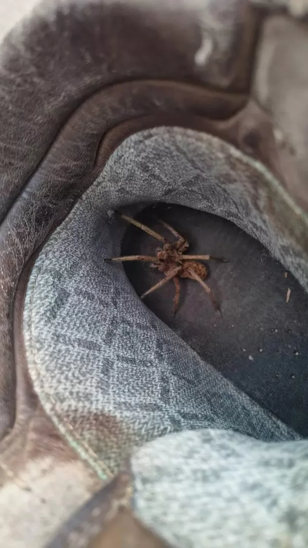 Ces gens qui passent une pire journee que vous - #7 J'ai trouvé un colocataire inattendu dans ma botte