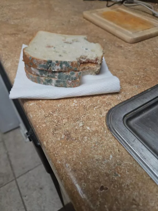 Ces gens qui passent une pire journee que vous - #8 Plus jamais de sandwich dans le noir