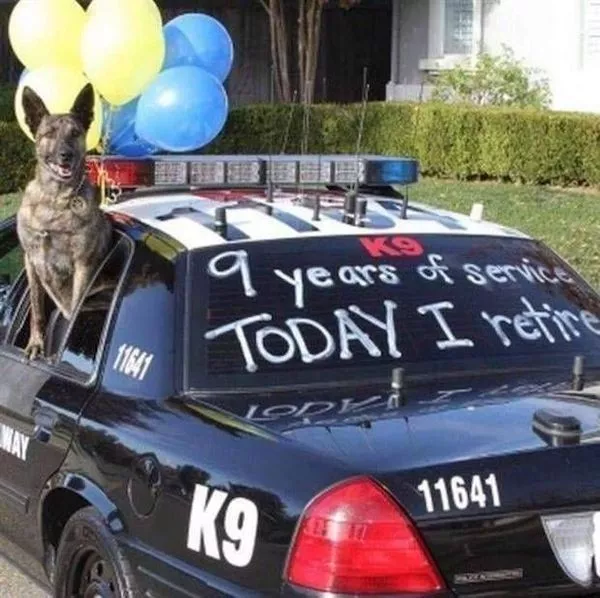 Picdump 1089 - #32 