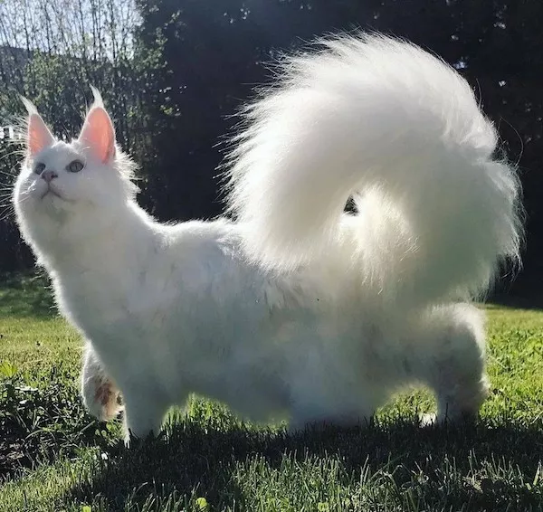Picdump 1089 - #42 