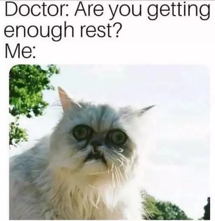 Hilarious memes for when you cant sleep - #12 