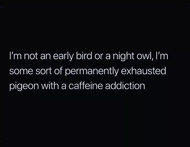 Hilarious memes for when you cant sleep - #31 