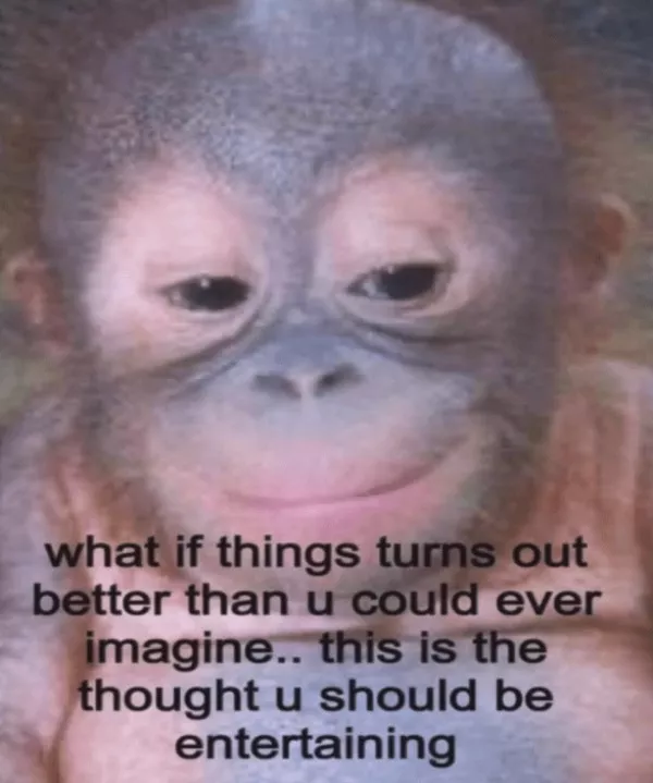The best wholesome memes of the week - #11 